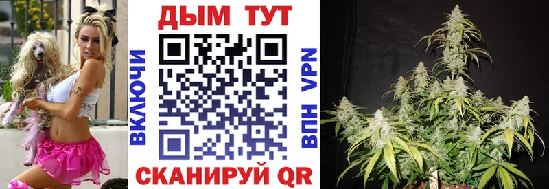 Купить наркотики цена Новокузнецк COCAIN  Экстази  ГАШИШ  Меф 