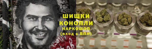 дживик Бронницы