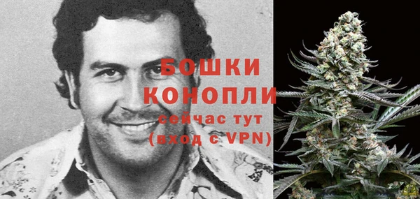 дживик Бронницы