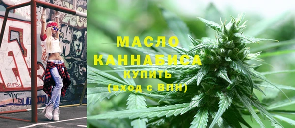 дживик Бронницы
