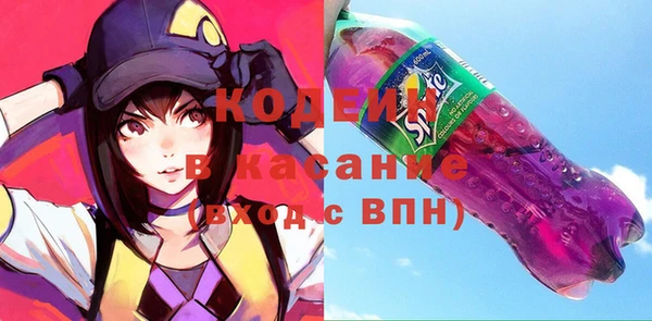 дживик Бронницы