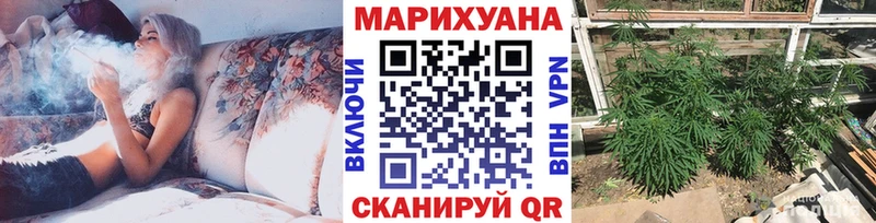 Бошки марихуана Ganja  Новокузнецк 